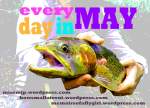 Every Day in May